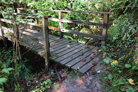 Wood bridge with railings from natural surface Jay Trail – narrow approach and lip on one end